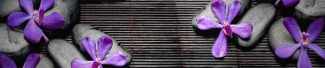 №7401-O