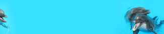 №5110-O