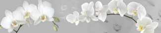 №7609-O