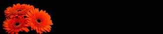 №3323