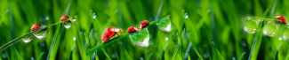 №6678-O