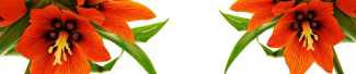 №3157